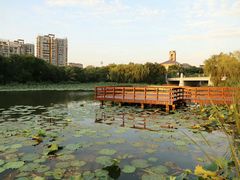 -新江湾城公园