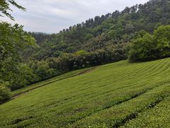 -敬亭山风景名胜区