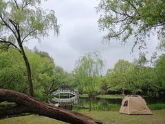 -上海共青森林公园