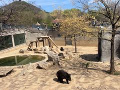 -石家庄市动物园