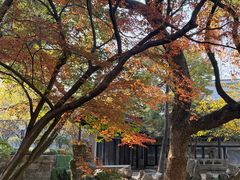 -绮园景区