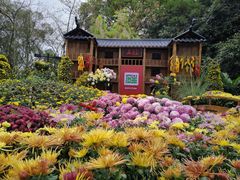 -南山植物园