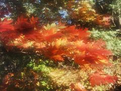 -九鼎铁刹山风景区