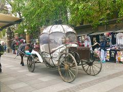 -滴血救世主教堂