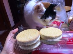 纯黄油黄油饼-路西仕·手作西点(气象台路店)