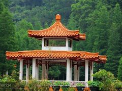 -深圳市中科院仙湖植物园