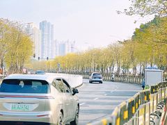 -洲头咀公园