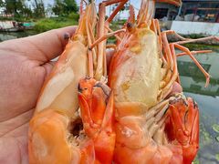 -蟹村草堂·苏式园林人文农家·大闸蟹