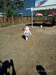 -萌宠亲子动物乐园(槐房万达店)