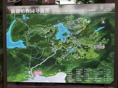 -深圳仙湖植物园