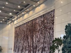 -北京大学百年讲堂