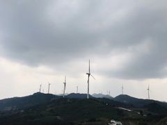 -齐岳山
