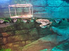 -沈阳海洋探索中心