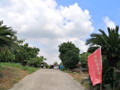 -樂桃源奉贤黄桃种植采摘基地