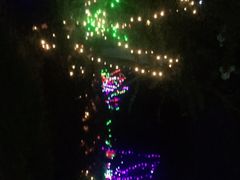 -武汉紫薇都市田园