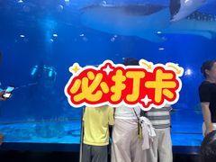 -烟台海昌鲸鲨海洋公园