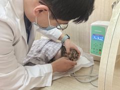 -北京观赏动物医院·24小时大型综合·猫专科·异宠专科