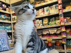 -我爱吾宠宠物美容院(朝阳路店)