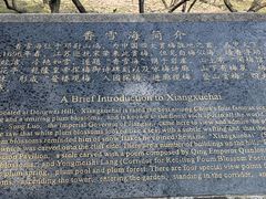 -香雪海