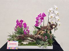 -云溪植物园