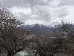 -白帝城·瞿塘峡景区