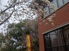 -上海瑞金洲际酒店