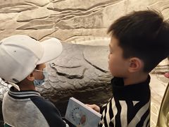 -白鹤梁水下博物馆
