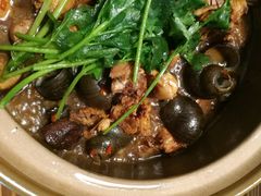 -食爺炭炉鸡煲·烧烤