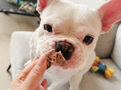 -Apple零售店(成都太古里店)