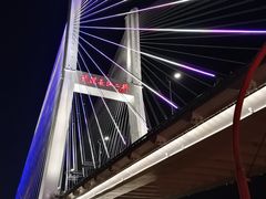 -武汉两江游览·夜游长江(汉口粤汉码头)