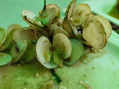 -范饭椰林川湘味海鲜·椰子鸡(三亚湾椰梦长廊店)