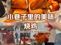 -南沙辉记烧鸡·荔枝木炭火吊烧(旧镇店)