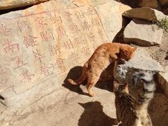 -终南山南五台景区