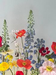 -美肤盾祛痘·问题肌头疗管理中心