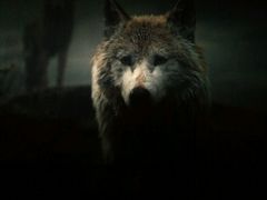 -万达影城(潍坊万达广场IMAX店)