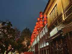 -三坊七巷历史文化街区