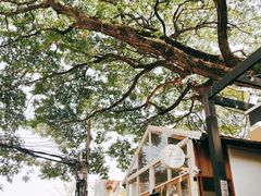 -Cheevit Cheeva(Sirimangkalajarn)