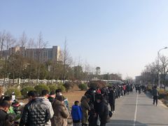 -上海市第六人民医院(临港院区)