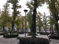 -百林公园-两江幸福广场