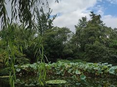 -秋霞圃