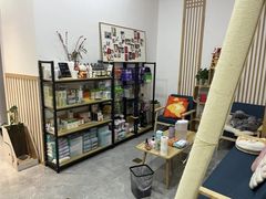 -山宅一喵德文卷毛猫舍