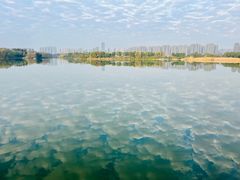 -洋湖国家湿地公园