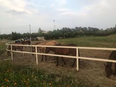 -长兴岛郊野公园农场食堂