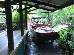 -热带雨林自然公园