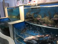 水产区-屯老二农家铁锅炖·行业领军者(梅江店)