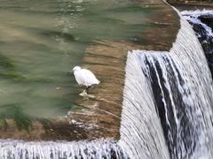 -叠水河瀑布