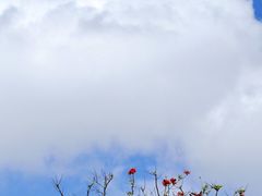 -西昌邛海湿地