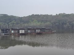 -三水森林公园