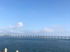-星海湾跨海大桥