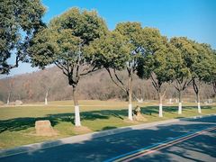 -羊山湖公园